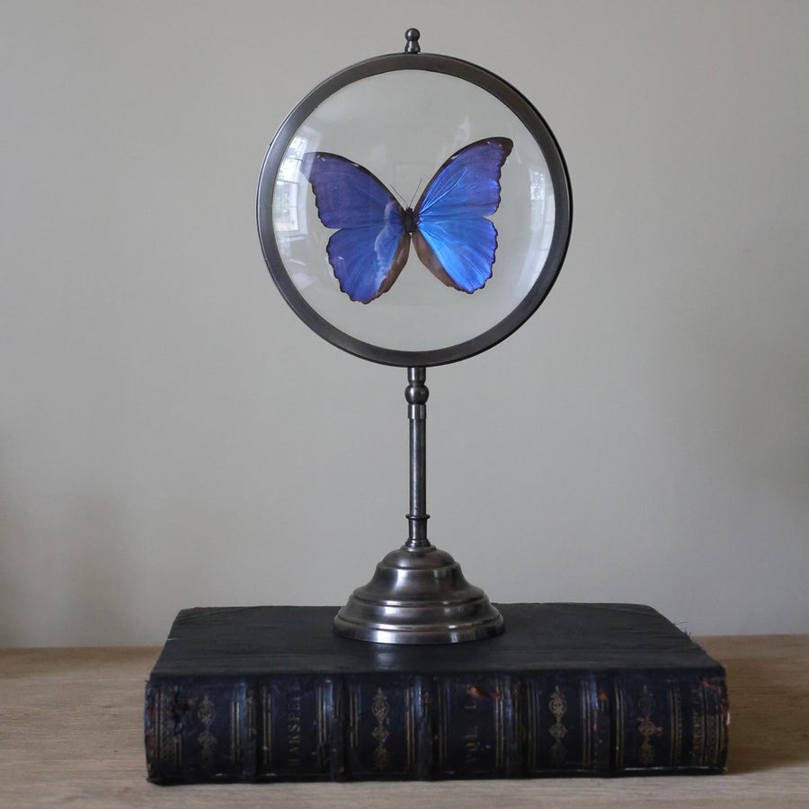 Decorative Butterfly Looking Glass