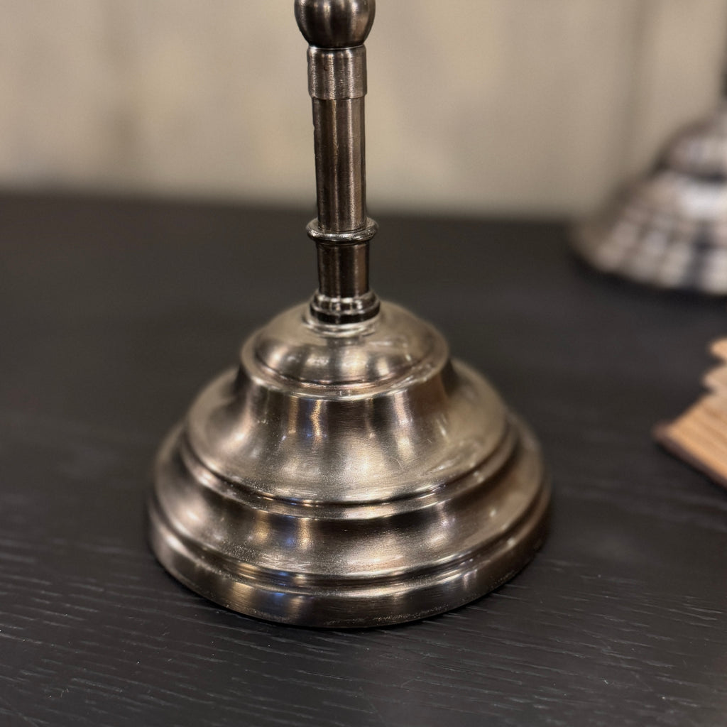 butterfly display looking glass, butterfly looking glass, blue green butterfly display, taxidermy butterfly, butterfly looking glass